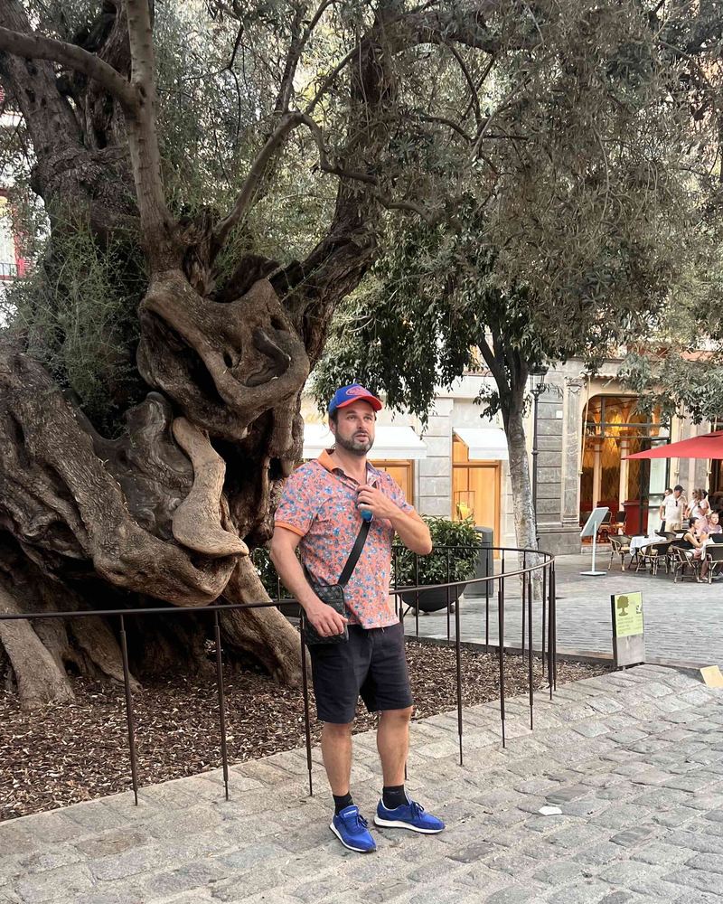 Ben Butscher steht vor einem jahrhundertealten, knorrigen Olivenbaum auf einem Platz in Palma